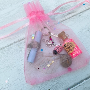THE TOOTH FAIRY KIT