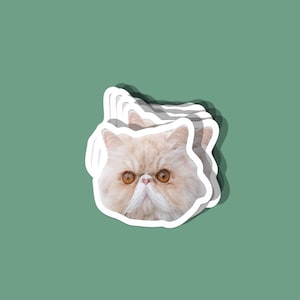 Custom Face Stickers Vinyl Printed Contour Personalized Party Favors Waterproof Dishwasher Safe Permanent Weatherproof Die Cut Stickers