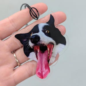Puede incluir: Un colgante acr&iacute;lico transparente con forma de perro que representa a un Border Collie con la boca abierta y la lengua fuera. El perro tiene marcas en blanco y negro y ojos amarillos. Se adjunta un cord&oacute;n negro para colgar.