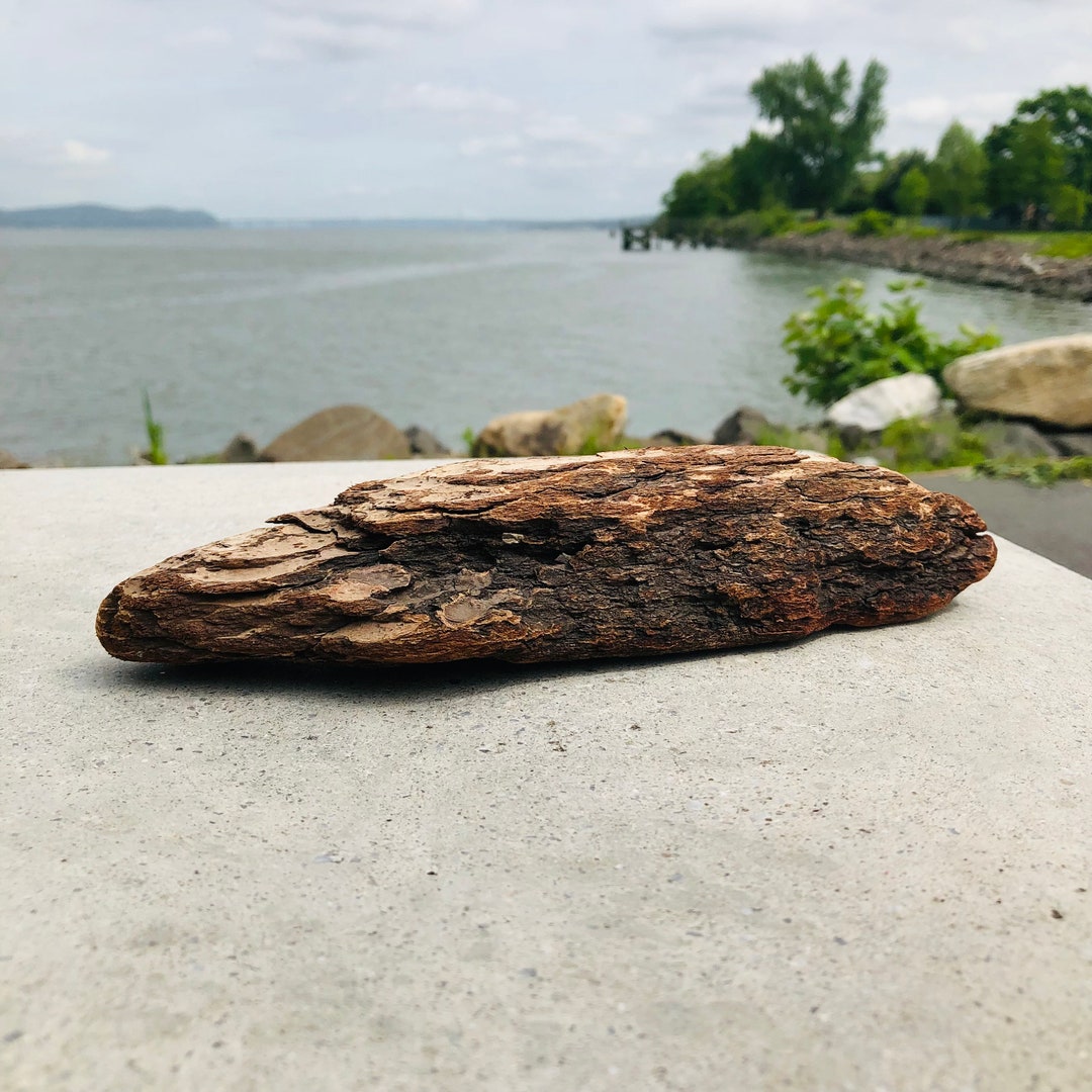 Vermillion Cliffs Series Natural Terrarium Driftwood Decor Etsy