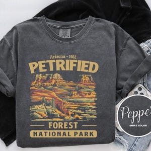 May include: A dark gray t-shirt with a vintage-style graphic of Petrified Forest National Park in Arizona. The text "Arizona - 1962" and "Petrified Forest National Park" are printed in yellow on the shirt.