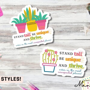 Desert Bloom Decal, Sticker Decal, Vinyl Decal, Cactus Theme, Pink Cactus, Cactus Sticker, Motivational Quote, Summer | CRAFTY MANDY