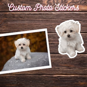 Photo Stickers | kiss-cut sticker sheets or die-cut water resistant, custom funny vinyl sticker, laptop stickers, party favor stickers