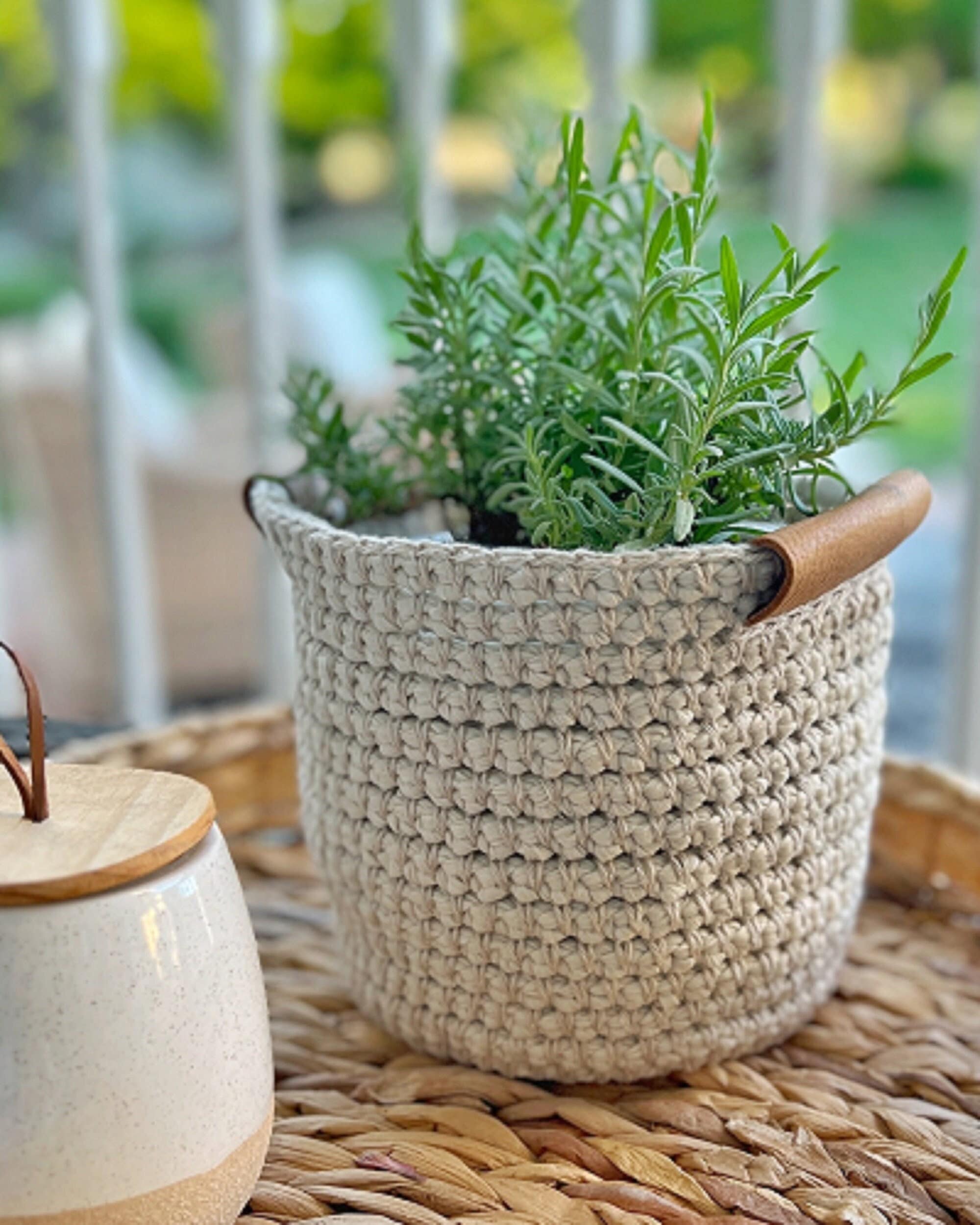 6 Inch Flower Pot - Etsy UK
