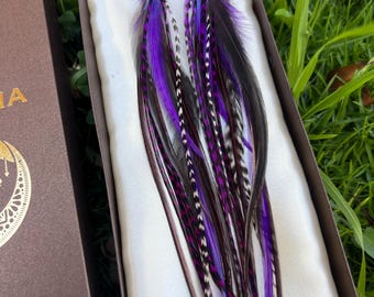 Lange lila Federohrringe mit Amethyst Kristall