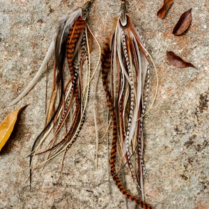 Real feather earrings. Extra long feather earrings. Feather earrings in natural colors. Brown and White feather earrings. Bohemian earrings image 8