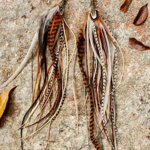 Real feather earrings. Extra long feather earrings. Feather earrings in natural colors. Brown and White feather earrings. Bohemian earrings image 2