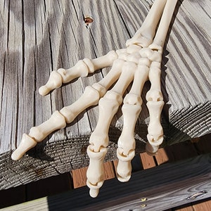 Articulated Skeleton Hand Fidget Toy – Unique Halloween Decoration – Custom Colors & Sizes Available!