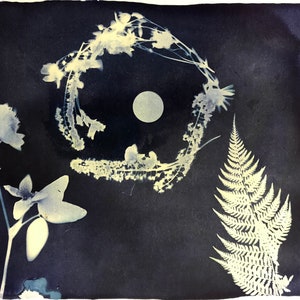 Original Cyanotype on printmaking paper. 11 x 14.