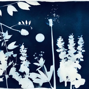 Original cyanotype on printmaking paper