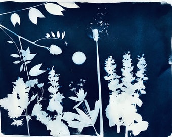 Original cyanotype on printmaking paper