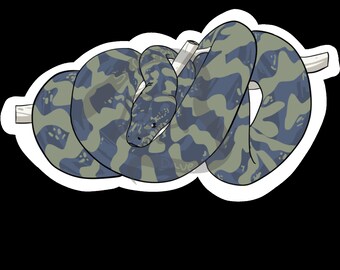 Carpet Python - Etsy