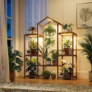 May include: A wooden plant stand with multiple shelves, illuminated by warm lights, displays various potted plants. A large potted palm and a framed botanical print add to the indoor garden aesthetic. The room has a window with sheer curtains.