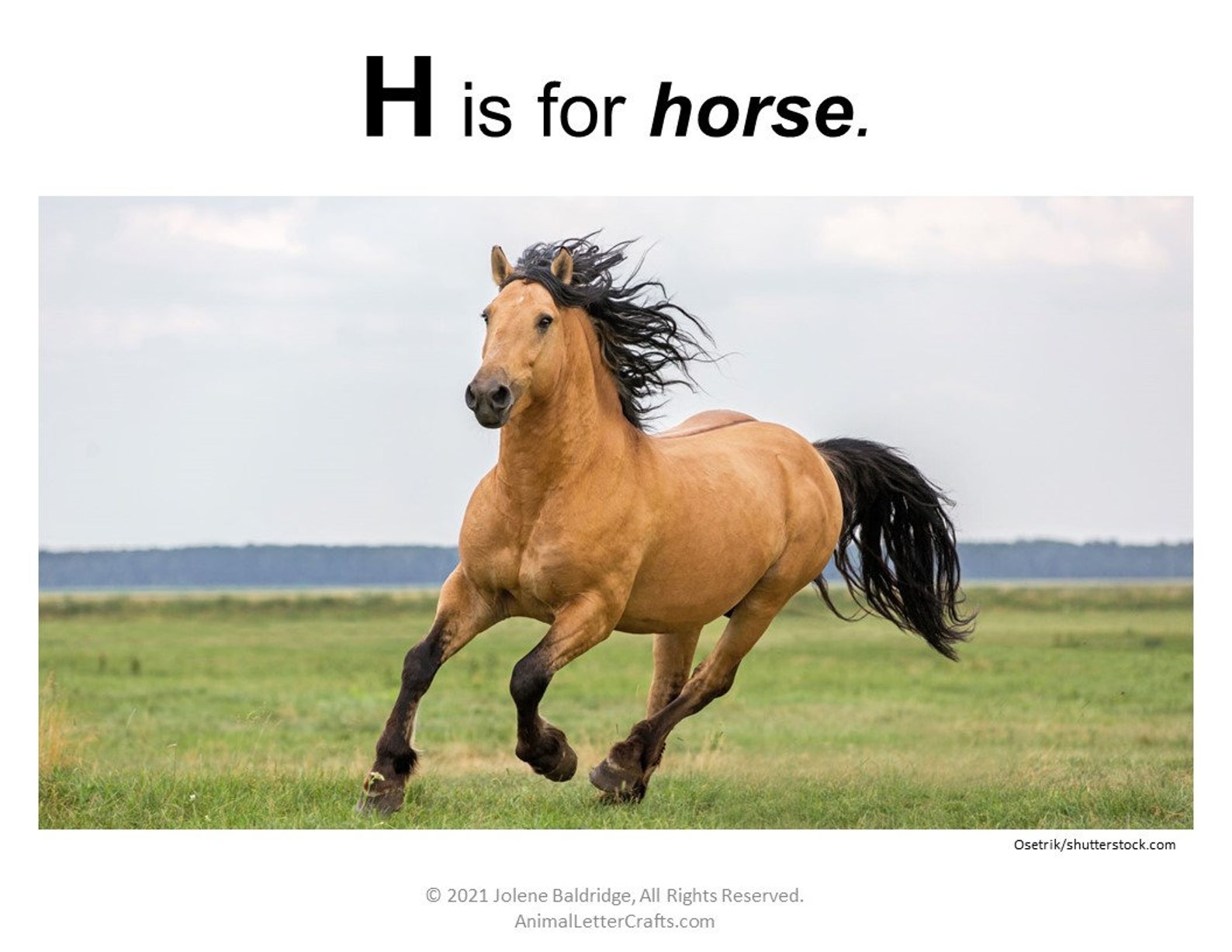 Letter H Horse Printable for Classroom - Cut and Paste Alphabet Craft ...