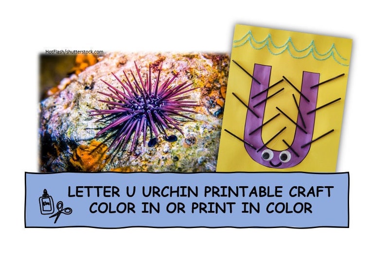 Letter U Urchin Printable - Color in or Print in Color - Cut and Paste ...
