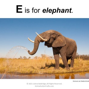 Letter E Elephant Printable for Classroom - Cut and Paste Alphabet ...
