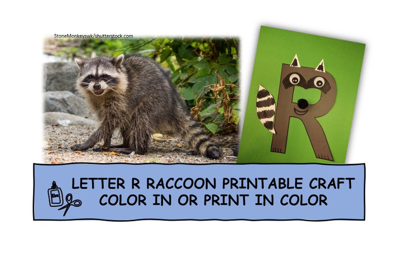 Letter R Craft Raccoon Letter R Raccoon Craft: Alphabet Printable (digital Download) - Etsy