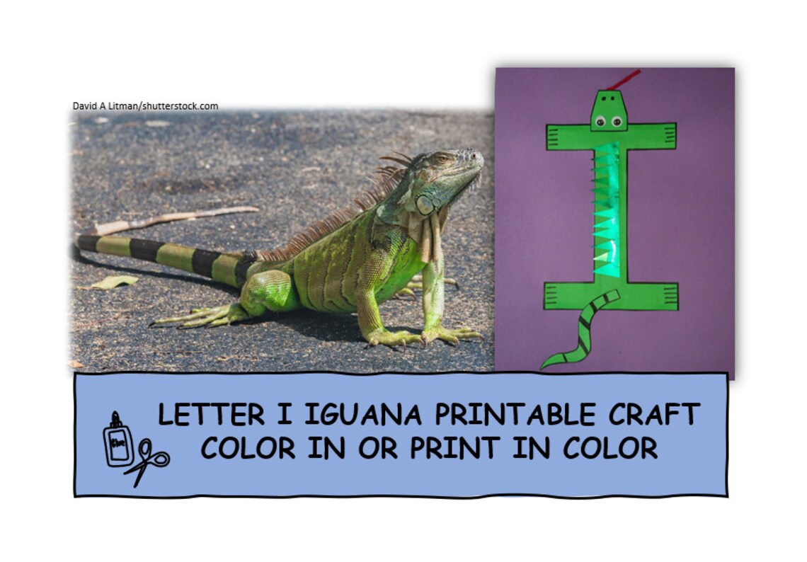 Letter I Iguana Printable Color in or Print in Color Cut and Paste ...