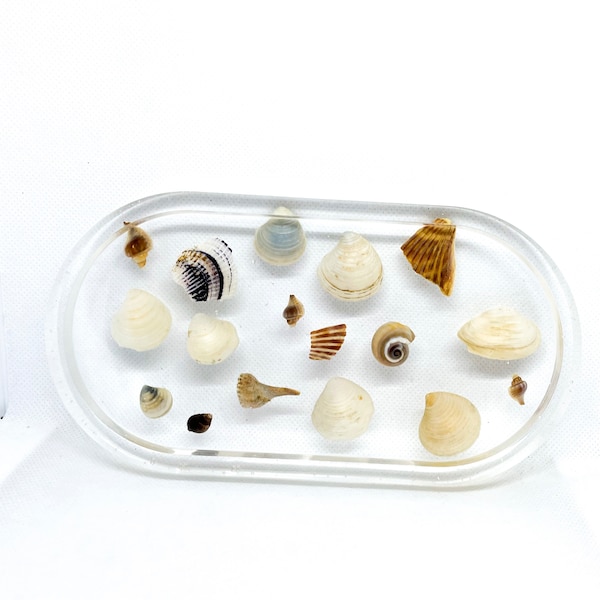 Real seashell resin tray