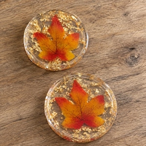 May include: Two circular resin coasters featuring a clear finish embedded with gold leaf flakes and a single pressed maple leaf in the centre. Each leaf displays a gradient of vibrant red, orange, and yellow tones with visible veins.