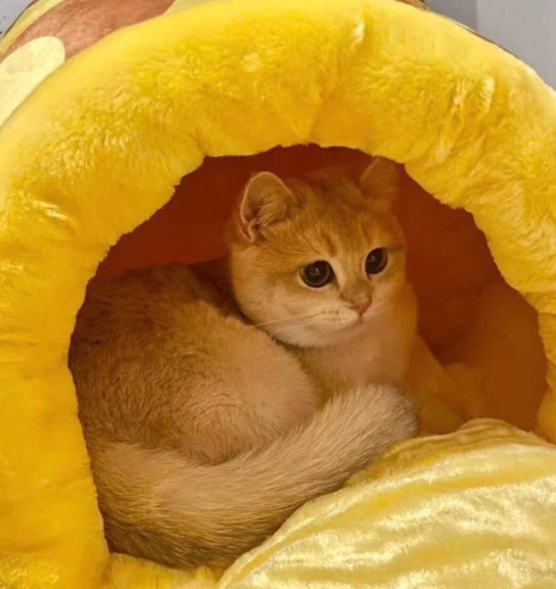 Honey Pot Warm Cosy Pet Bed Etsy UK