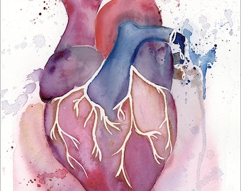 Anatomical Heart watercolor Giclée print