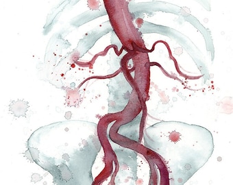 Aortoiliac Vasculature watercolor, fine art Giclee print