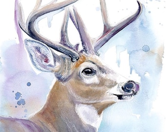 Whitetail Buck watercolor fine art Giclée print