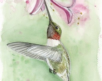 Ruby Throated Hummingbird watercolor