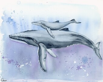 Whale and Calf watercolor