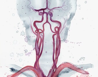 Cerebrovasculature watercolor