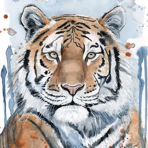 Siberian Tiger watercolor print