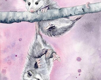Opossum Joeys watercolor fine art Giclée print