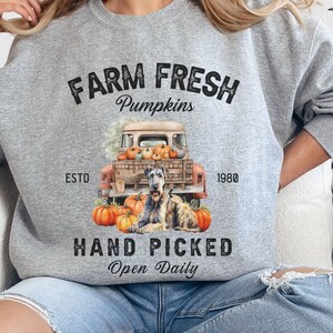 Moletom vintage de cão lobo irlandês para o Halloween, suéter de cão lobo irlandês, camiseta de cão lobo irlandês, presentes para amantes de cães lobo irlandês