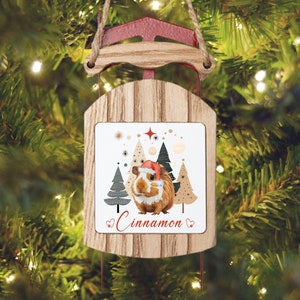 Personalized Guinea pig Christmas Ornament Christmas Guinea pig Ornament Guinea pig Gifts Guinea pig Decoration Guinea pigs Lover Ornaments