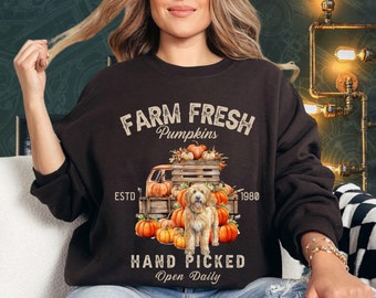 Könnte beinhalten: Ein braunes Sweatshirt mit dem Text "FARM FRESH Pumpkins ESTD 1980 HAND PICKED Open Daily" und einem Cartoon-Bild eines mit Kürbissen beladenen Lastwagens, in dessen Mitte ein Goldendoodle-Hund steht.