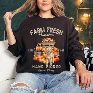 May include: A brown sweatshirt with the text "FARM FRESH Pumpkins ESTD 1980 HAND PICKED Open Daily" and a cartoon image of a truck full of pumpkins with a golden doodle dog standing in the middle of the pumpkins.