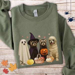 Halloween Ferret Sweatshirt Ferret Sweater Ferret Fall Clothing Halloween Pet Sweater Ferret Gifts Ferret Mom Ferrets Jumper