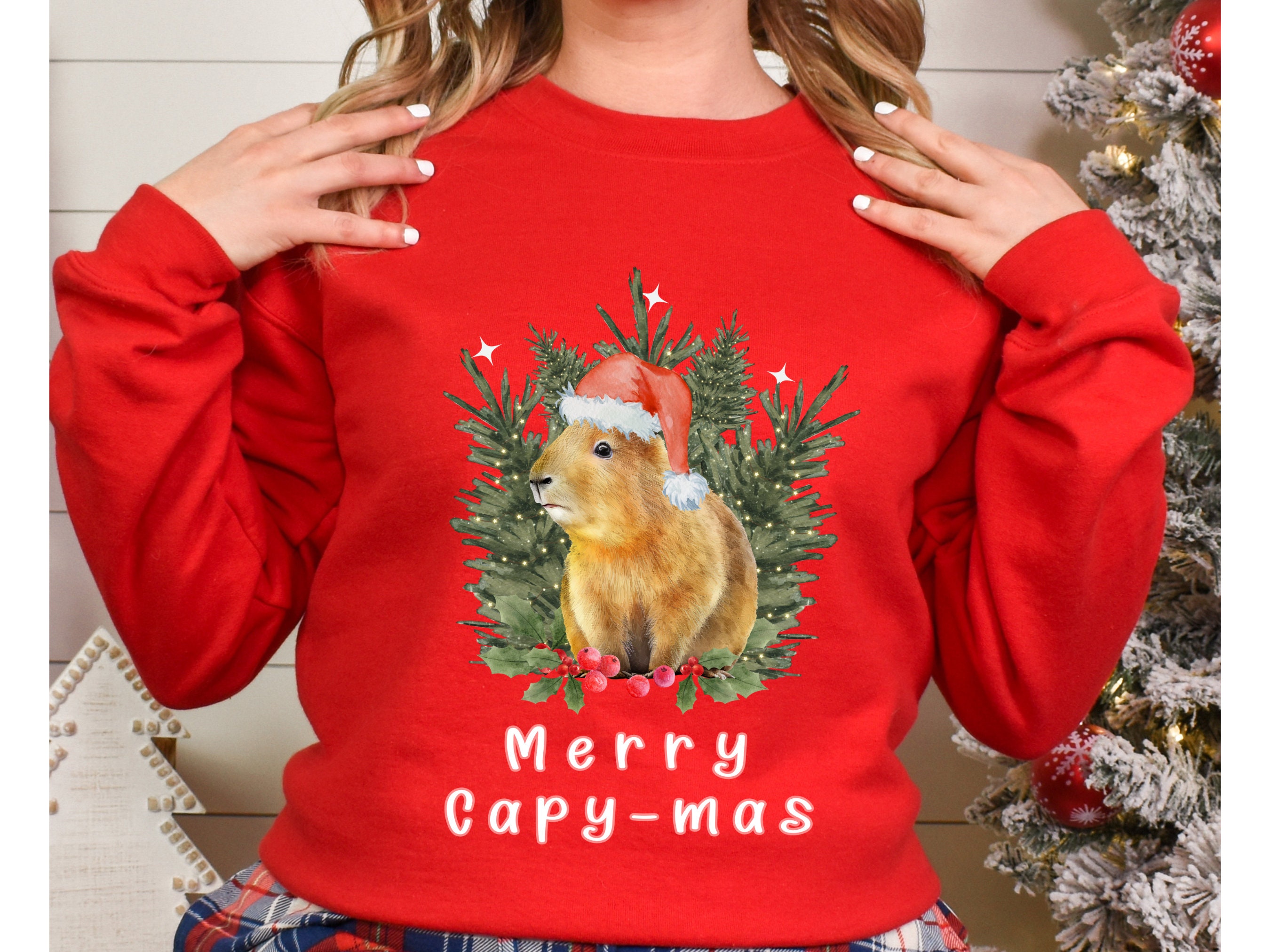 Spring and Autumn Cartoon Capybara Casual Hoodie, Kids New Capybara