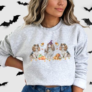 Op de afbeelding: Een grijs sweatshirt met een ontwerp van drie Cavalier King Charles Spaniels gekleed in Halloween-kostuums. De middelste hond draagt ​​een heksenhoed en houdt een pompoen vast. De andere twee honden houden pompoenen en maïs snoep vast.