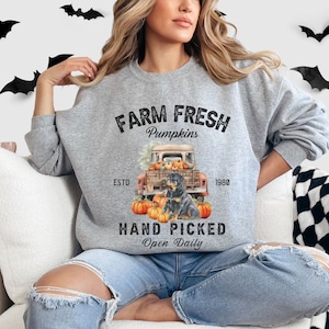 May include: A gray sweatshirt with a graphic featuring a vintage truck filled with pumpkins, a Rottweiler, and the text "Farm Fresh Pumpkins, Hand Picked, Open Daily." The design includes the year "1980."