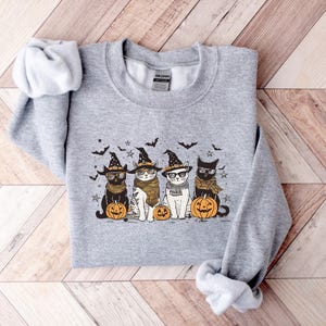 May include: A gray sweatshirt with a graphic of four cats wearing witch hats and holding pumpkins. The cats are wearing glasses and have different colored fur. The text "Hocus Pocus" is on one of the cats' hats.