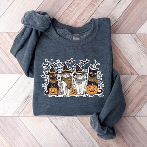 May include: A dark gray sweatshirt with a graphic of four cats wearing witch hats and holding pumpkins. The cats are wearing glasses and have different colored fur. The graphic is surrounded by bats and snowflakes.