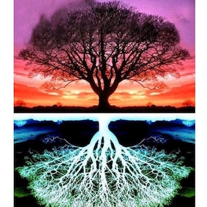 May include: A silhouette of a tree with a dark trunk and branches against a vibrant sunset sky. The roots of the tree are shown in a contrasting light blue and green color scheme against a dark background.
