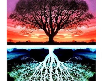 May include: A silhouette of a tree with a dark trunk and branches against a vibrant sunset sky. The roots of the tree are shown in a contrasting light blue and green color scheme against a dark background.