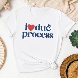 Ich liebe ordentliches Verfahren T-Shirt, legaler Humor T-Shirt, Statement Grafik Shirt, lustiges Gesetz Shirt, einzigartiges Geschenk für Anwälte, politisches Shirt für Fürsprecher