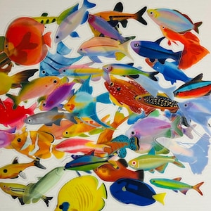 Transparante stickers vis, goudvis aquarium, set van 10, 20 of 50 voor planners, decoraties, beloningen, feestartikelen, geschenken en meer!