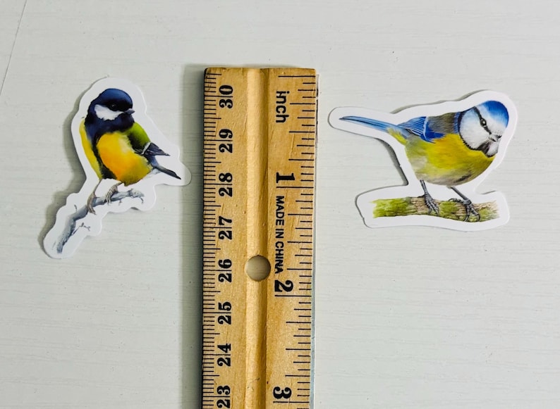 Bird Stickers, Avian Decals for Planners, Journals (10, 20, or 50) - Etsy