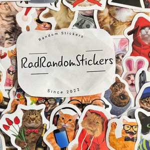 Stickers petits chats pour ordinateurs portables, skateboards, téléphones, récompenses, gourdes, vélos, bagages, voyages