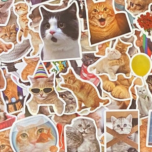 5-50 Pack Cat Stickers for Laptops, Skateboards, Phones, Rewards, Water Bottles, Bikes, Luggage, Travel